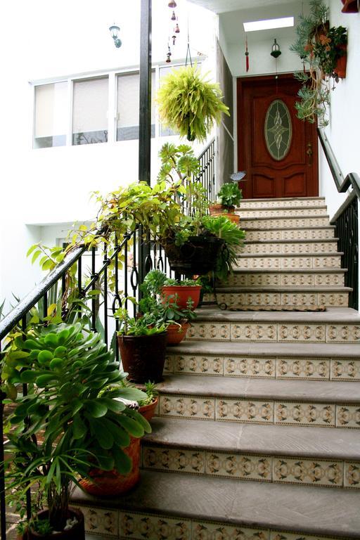Hotel Residencia Sofia Querétaro Zewnętrze zdjęcie
